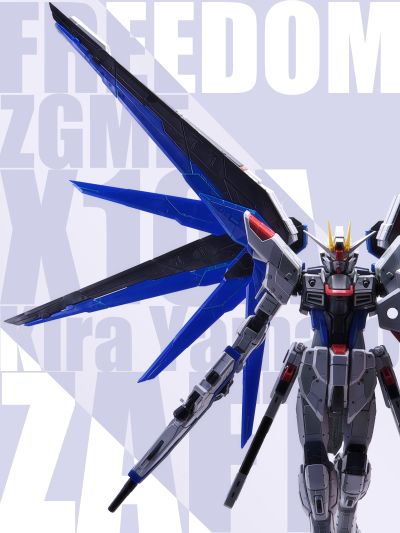 RG 自由高达 Ver.GCP