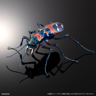 进化生物大图鉴 长牙大天牛 + 虎甲虫 展示架套装
