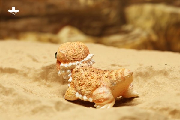 全球艺术家系列 鬃狮蜥