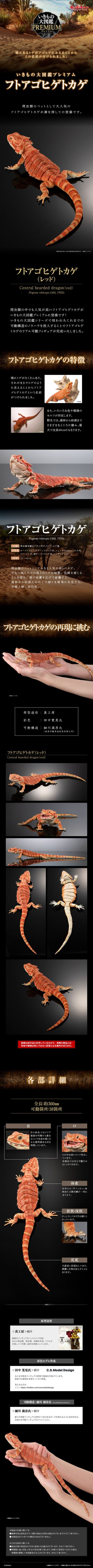 高级生物大图鉴 鬃狮蜥（红色）