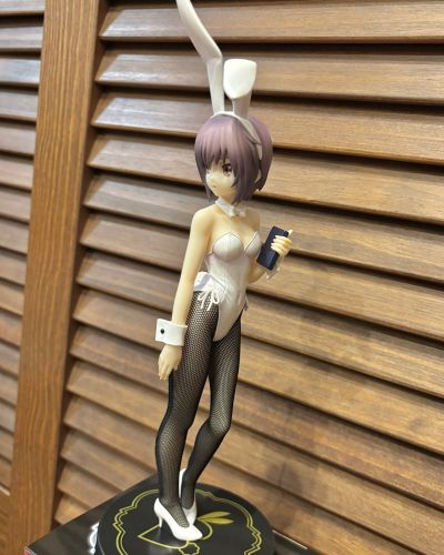 BiCute Bunnies 凉宫春日的忧郁  长门有希