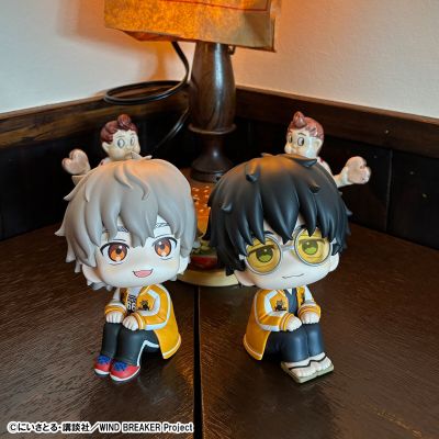 Look Up 防风铃 十龟条