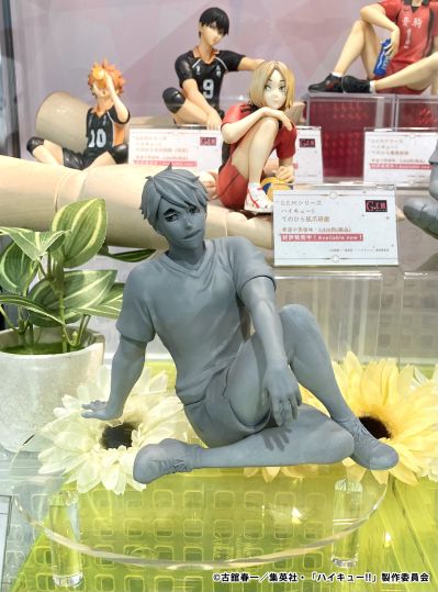 GEM系列 排球少年 掌中宫治