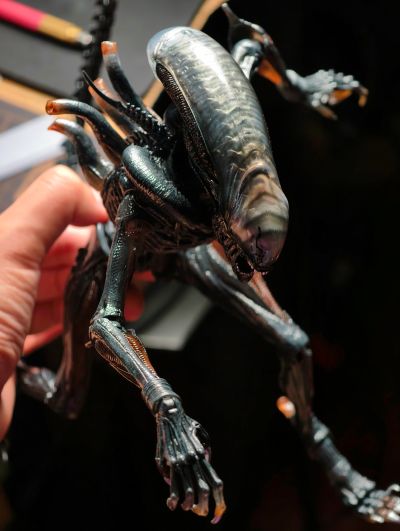 异形:夺命舰 套装