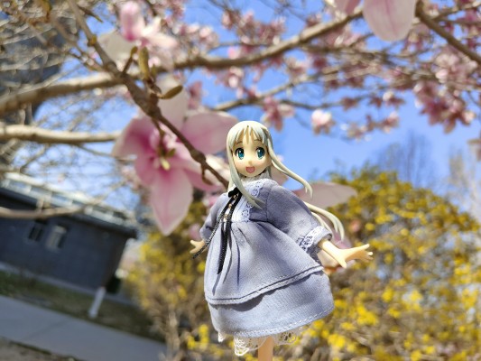 BEACH QUEENS 未闻花名 本間芽衣子（面码） 