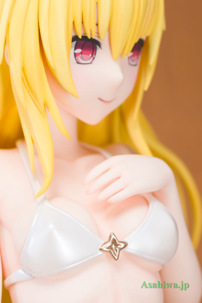 B-style 出包王女DARKNESS 金色暗影 泳装 with 体操服