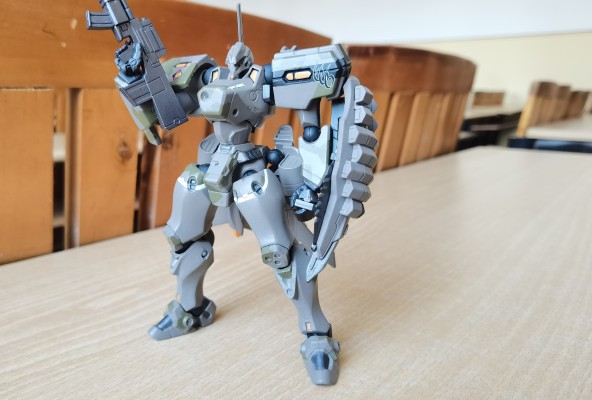 转轮科技 Muv-Luv Alternative No.006 MiG-21 巴拉莱卡 黑色宣告样式