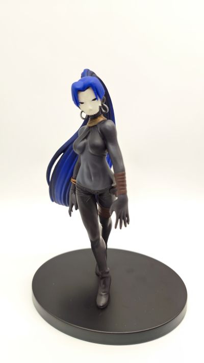 DXF 手办  Fate/Zero 刺客