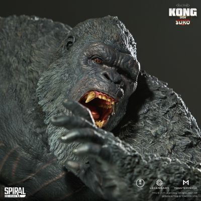 金刚 2024（迷你金刚流星锤版）