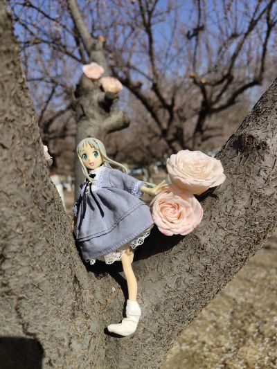 BEACH QUEENS 未闻花名 本間芽衣子（面码） 