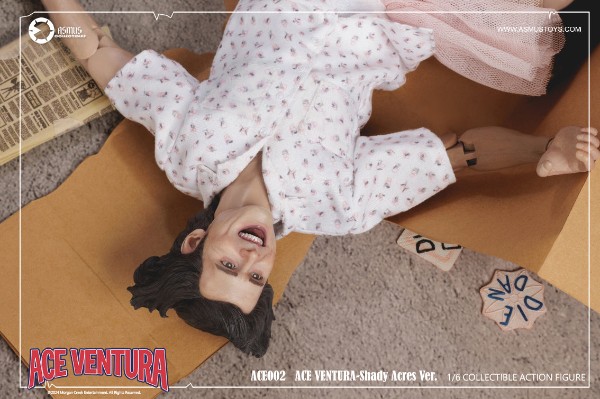 神探飞机头  疯人院版