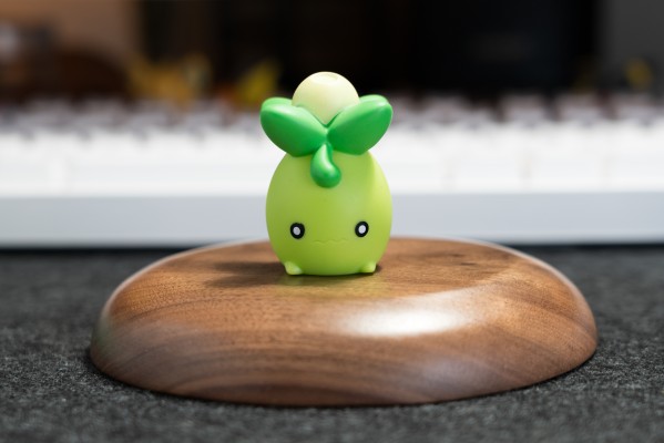 宝可梦Kids  帕底亚地区篇