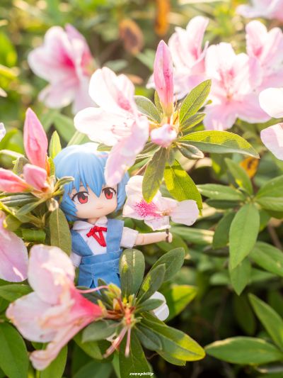 粘土娃 服装套组 新世纪福音战士 第3新东京市立第一中学校服：女孩