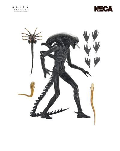 异形：夺命舰 - 终极异形 XX121 7英寸可动人偶