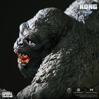 金刚2024（战斧版）