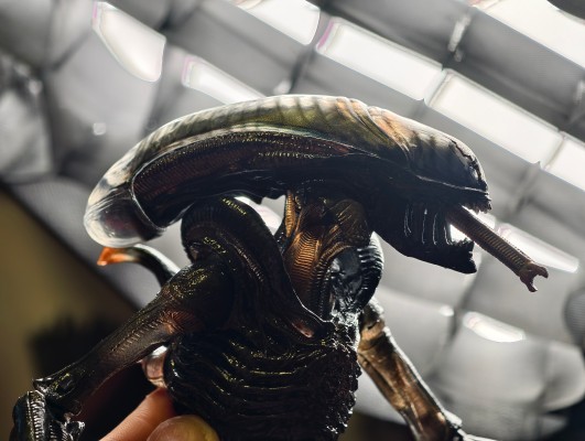 异形:夺命舰 套装