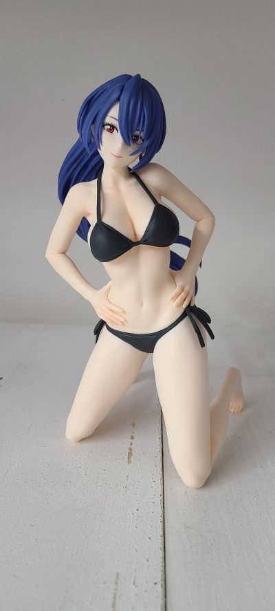 香格里拉边境动画版  -Celestial vivi- 角色特辑