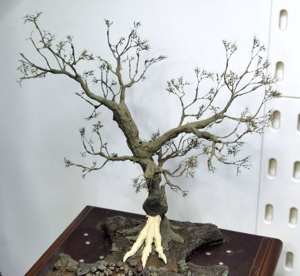 侏罗纪公园3 棘龙（CG造型）