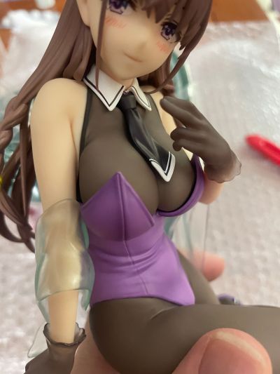 圣剑学院的魔剑使 艾尔菲涅·费雷特 花紫的兔女郎+走光系统