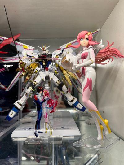 机动战士高达SEED FREEDOM 独特魅力-拉克丝·克莱因-