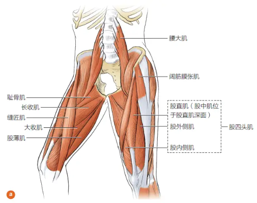 刀剑神域 Extra Edition 桐谷直叶 学校泳装Ver.