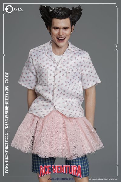 神探飞机头  疯人院版