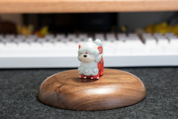 宝可梦指套 令人怀念的宝可梦GET! 篇