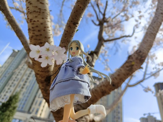 BEACH QUEENS 未闻花名 本間芽衣子（面码） 