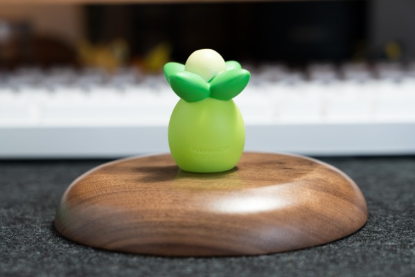 宝可梦Kids  帕底亚地区篇