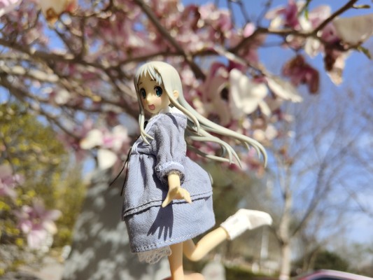 BEACH QUEENS 未闻花名 本間芽衣子（面码） 