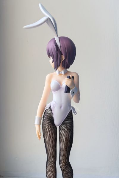 BiCute Bunnies 凉宫春日的忧郁  长门有希