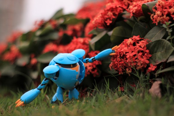 HGBD 高达创形者 桃桃卡普尔