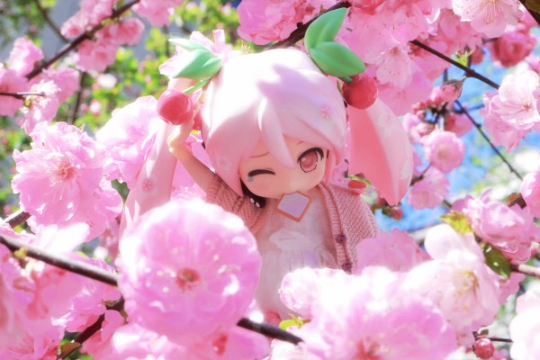 良笑赏 樱花未来2024 B奖 粘土人#2331-a 樱花未来（水手服）