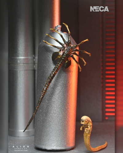 异形：夺命舰 - 终极异形 XX121 7英寸可动人偶