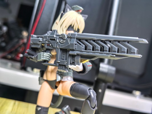 M.S.G. 武器组件48 Stride步枪