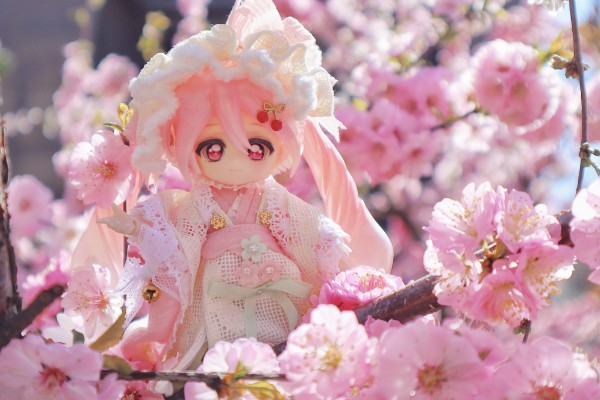 良笑赏 樱花未来2024 B奖 粘土人#2331-a 樱花未来（水手服）