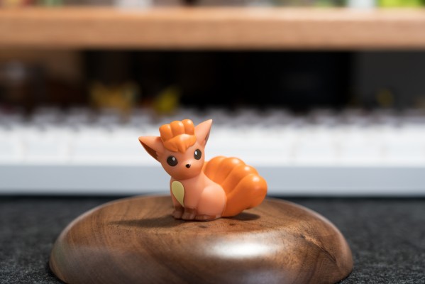 宝可梦Kids 你与宝可梦的邂逅篇