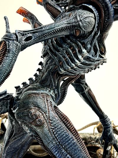 展览馆线XL 异形:夺命舰 焦灼异形