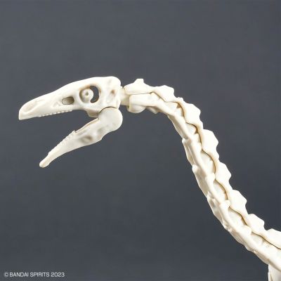 恐龙拼装模型 镰刀龙