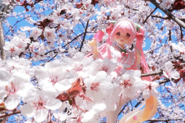 良笑赏 樱花未来2024 B奖 粘土人#2331-a 樱花未来（水手服）