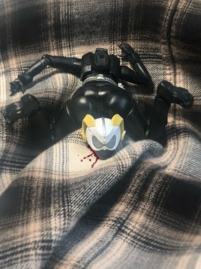 S.H.Figuarts   假面骑士娜猫 登录形态+登录形态配件包