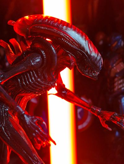 异形:夺命舰 套装