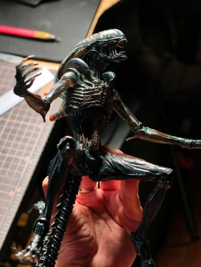 异形:夺命舰 套装