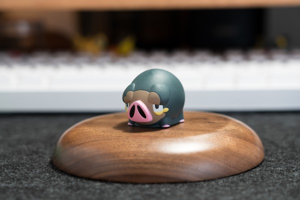 宝可梦Kids  帕底亚地区篇