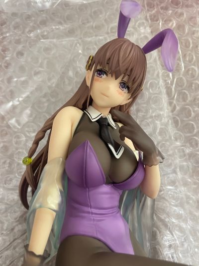 圣剑学院的魔剑使 艾尔菲涅·费雷特 花紫的兔女郎+走光系统