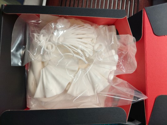 Fate / Grand Order 伊丽莎白·巴托里伯爵夫人