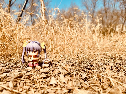 粘土人#1931 薇薇 -萤石眼之歌 - 薇薇