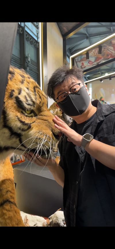 东北虎 1/1博物馆级复制品