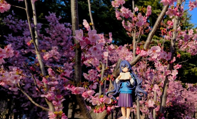 VIVIgnette 超超超超超喜欢你的100个女朋友 好本静