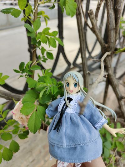 BEACH QUEENS 未闻花名 本間芽衣子（面码） 